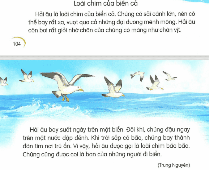 tieng-viet-lop-1-tap-2-trang-104-2