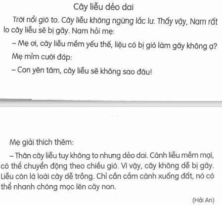 tieng-viet-lop-1-tap-2-trang-118-2