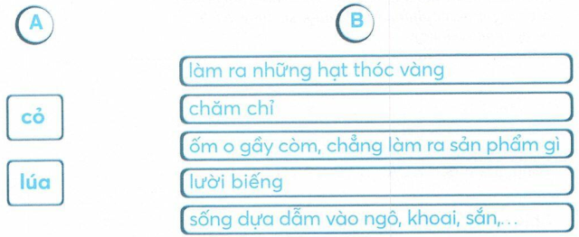 vo-bai-tap-tieng-viet-lop-2-tap-1-trang-72-7