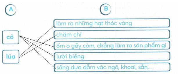 vo-bai-tap-tieng-viet-lop-2-tap-1-trang-72-9