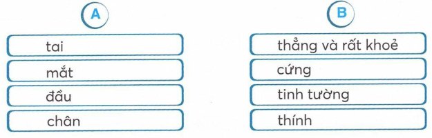 vo-bai-tap-tieng-viet-lop-2-tap-2-trang-22-3