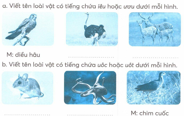 vo-bai-tap-tieng-viet-lop-2-tap-2-trang-22-6