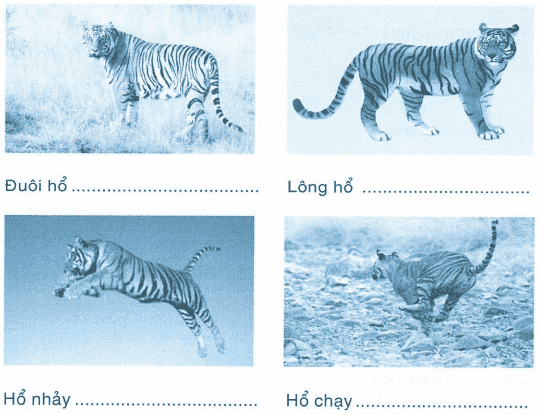 vo-bai-tap-tieng-viet-lop-1-tap-2-trang-47-4