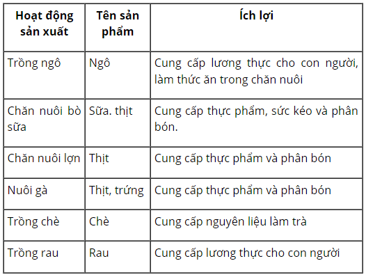 loi-giai-sgk-tu-nhien-xa-hoi-lop-3-bai-9-ket-noi-tri-thuc-6