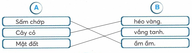 vo-bai-tap-tieng-viet-lop-2-tap-2-trang-62-4