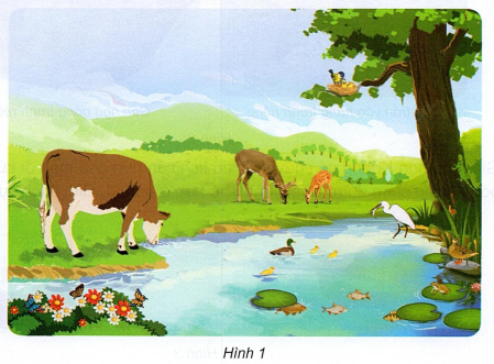 loi-giai-sach-khoa-hoc-lop-4-bai-16-ket-noi-tri-thuc-1