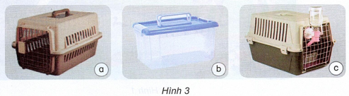 loi-giai-sach-khoa-hoc-lop-4-bai-16-ket-noi-tri-thuc-3