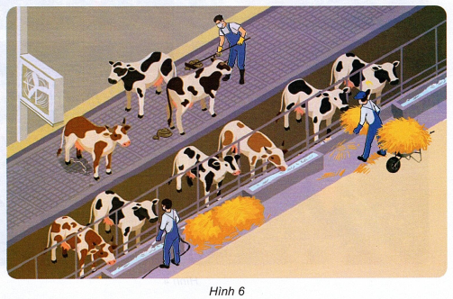 loi-giai-sach-khoa-hoc-lop-4-bai-16-ket-noi-tri-thuc-6