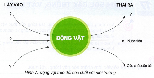 loi-giai-sach-khoa-hoc-lop-4-bai-16-ket-noi-tri-thuc-7