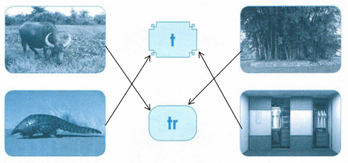 vo-bai-tap-tieng-viet-lop-1-tap-1-trang-22-2