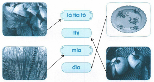 vo-bai-tap-tieng-viet-lop-1-trang-23-tap-1-4