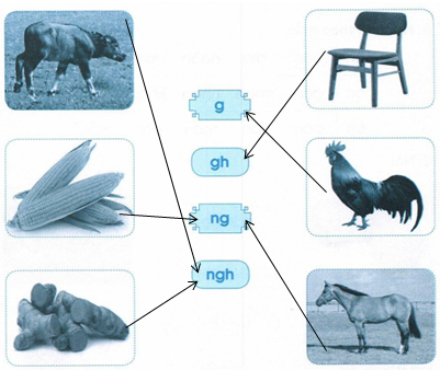 vo-bai-tap-tieng-viet-lop-1-trang-28-tap-1-4