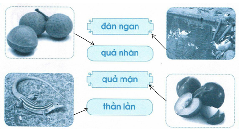 vo-bai-tap-tieng-viet-lop-1-trang-30-tap-1-4