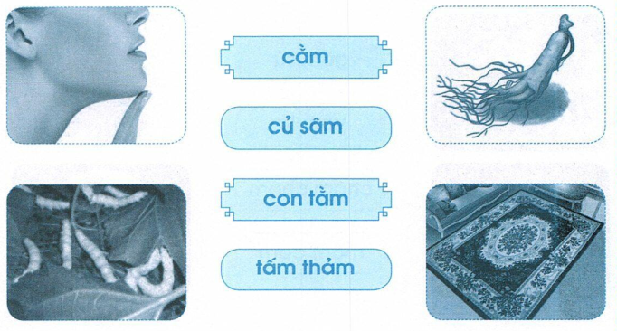 vo-bai-tap-tieng-viet-lop-1-tap-1-trang-33-1