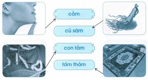 vo-bai-tap-tieng-viet-lop-1-tap-1-trang-33-2