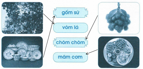 vo-bai-tap-tieng-viet-lop-1-trang-34-tap-1-2