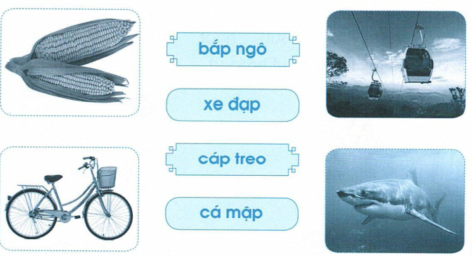 vo-bai-tap-tieng-viet-lop-1-tap-1-trang-48-1