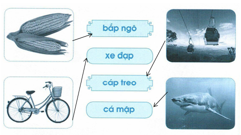 vo-bai-tap-tieng-viet-lop-1-tap-1-trang-48-2