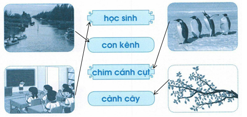 vo-bai-tap-tieng-viet-lop-1-trang-51-tap-1-2