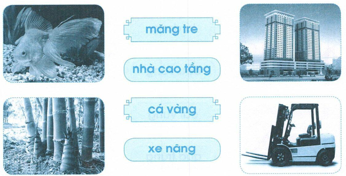 vo-bai-tap-tieng-viet-lop-1-tap-1-trang-53-1