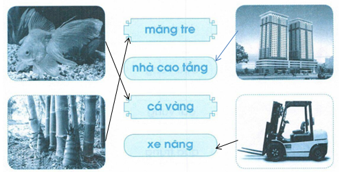 vo-bai-tap-tieng-viet-lop-1-tap-1-trang-53-2