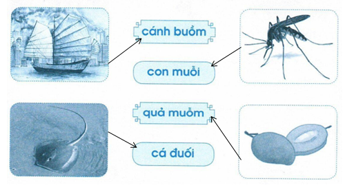 vo-bai-tap-tieng-viet-lop-1-trang-58-tap-1-4