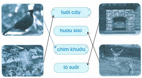 vo-bai-tap-tieng-viet-lop-1-tap-1-trang-61-2