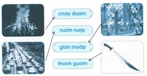 vo-bai-tap-tieng-viet-lop-1-trang-63-tap-1-2