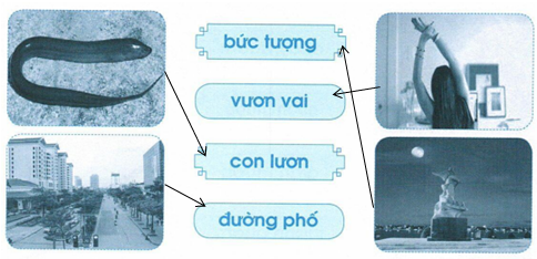 vo-bai-tap-tieng-viet-lop-1-tap-1-trang-64-2