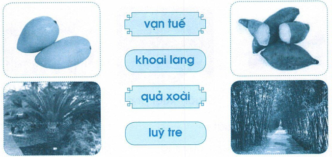 vo-bai-tap-tieng-viet-lop-1-trang-67-tap-1-1