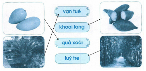 vo-bai-tap-tieng-viet-lop-1-trang-67-tap-1-2