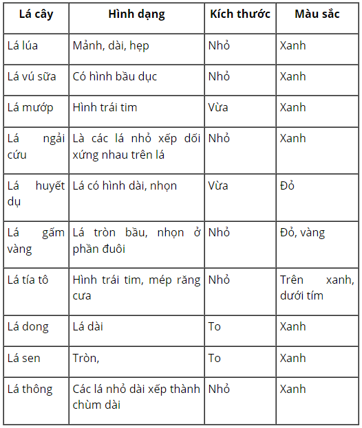 loi-giai-sgk-tu-nhien-xa-hoi-lop-3-bai-13-ket-noi-tri-thuc-8