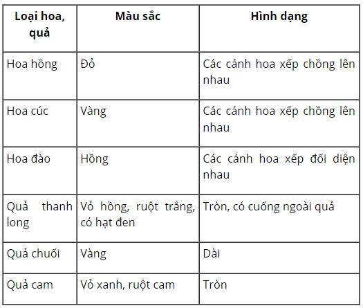 loi-giai-sgk-tu-nhien-xa-hoi-lop-3-bai-13-ket-noi-tri-thuc-12