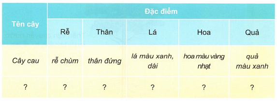 loi-giai-sgk-tu-nhien-xa-hoi-lop-3-bai-13-ket-noi-tri-thuc-14