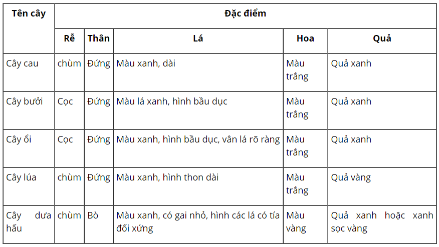 loi-giai-sgk-tu-nhien-xa-hoi-lop-3-bai-13-ket-noi-tri-thuc-15