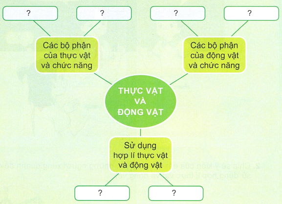 loi-giai-sgk-tu-nhien-xa-hoi-lop-3-bai-17-ket-noi-tri-thuc-1