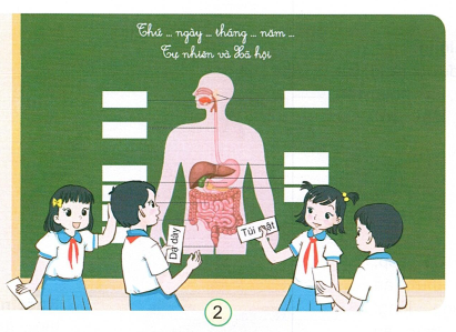 loi-giai-sgk-tu-nhien-xa-hoi-lop-3-bai-18-ket-noi-tri-thuc-2