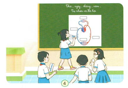 loi-giai-sgk-tu-nhien-xa-hoi-lop-3-bai-20-ket-noi-tri-thuc-4