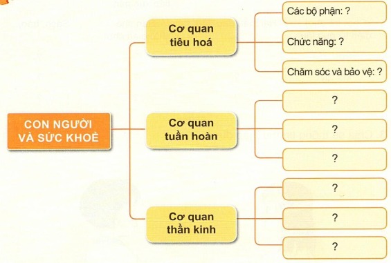 loi-giai-sgk-tu-nhien-xa-hoi-lop-3-bai-25-ket-noi-tri-thuc-1