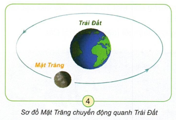 loi-giai-sgk-tu-nhien-xa-hoi-lop-3-bai-29-ket-noi-tri-thuc-3