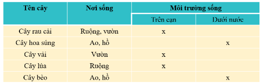 loi-giai-sgk-tu-nhien-xa-hoi-lop-2-bai-16-ket-noi-tri-thuc-4