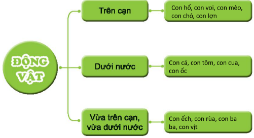 loi-giai-sgk-tu-nhien-xa-hoi-lop-2-bai-17-ket-noi-tri-thuc-6