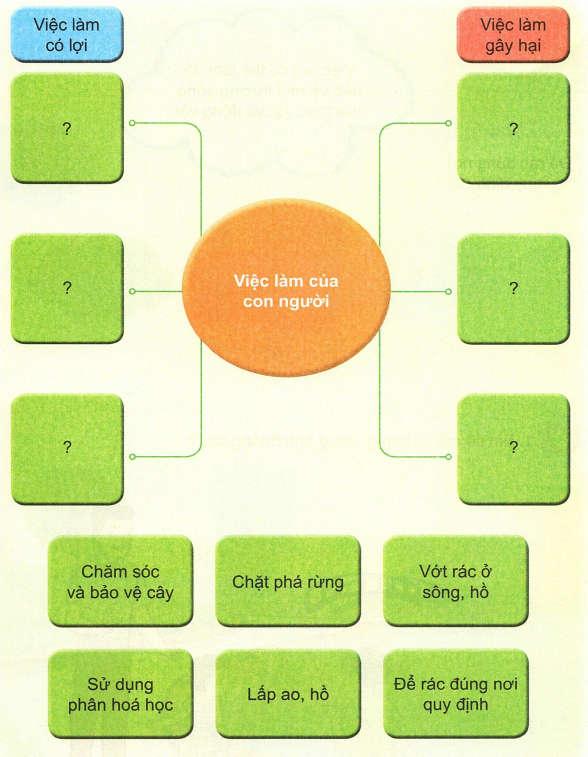 loi-giai-sgk-tu-nhien-xa-hoi-lop-2-bai-18-ket-noi-tri-thuc-4