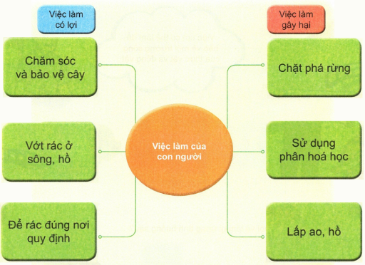 loi-giai-sgk-tu-nhien-xa-hoi-lop-2-bai-18-ket-noi-tri-thuc-5