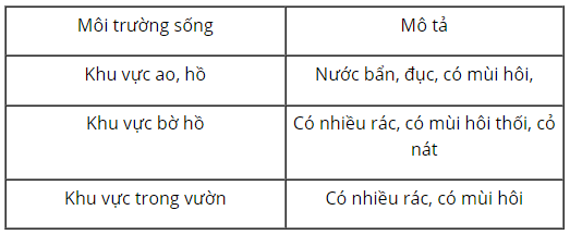 loi-giai-sgk-tu-nhien-xa-hoi-lop-2-bai-19-ket-noi-tri-thuc-2