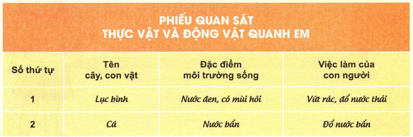 loi-giai-sgk-tu-nhien-xa-hoi-lop-2-bai-19-ket-noi-tri-thuc-3