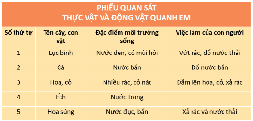 loi-giai-sgk-tu-nhien-xa-hoi-lop-2-bai-19-ket-noi-tri-thuc-4