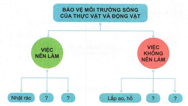 loi-giai-sgk-tu-nhien-xa-hoi-lop-2-bai-19-ket-noi-tri-thuc-6