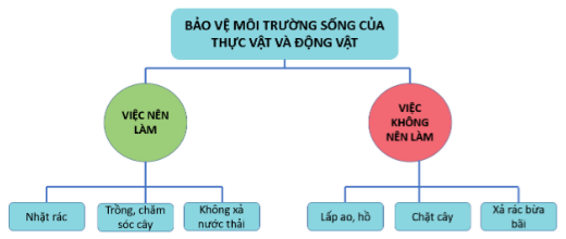 loi-giai-sgk-tu-nhien-xa-hoi-lop-2-bai-19-ket-noi-tri-thuc-7