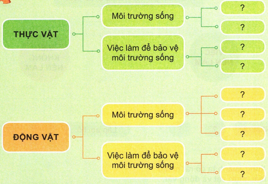 loi-giai-sgk-tu-nhien-xa-hoi-lop-2-bai-20-ket-noi-tri-thuc-1